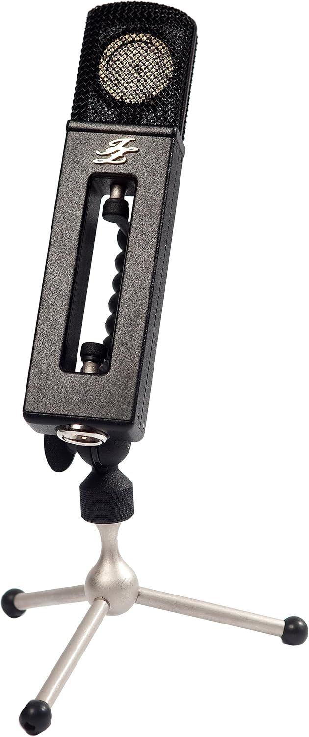 Black Hole Series BH-2 Condenser Microphone, Cardioid