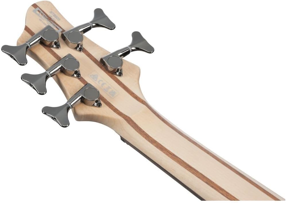 Ibanez BTB605 Standard 5-String Bass Guitar, Rosewood Fingerboard, Transparent Gray