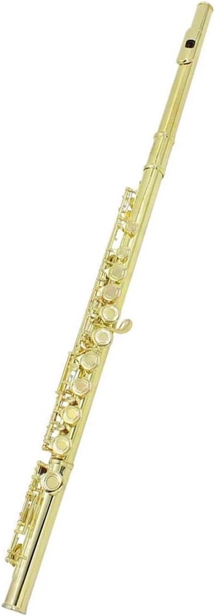 Professional Flute Instrument Gold 16 Hole C E Key Flute Woodwind Instrument Closed Gold Plated White Copper Tube