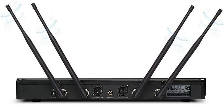 UHF Dual Wireless Microphone SKM 9000 Handheld 200 Channels Professional Stage Outdoor School Vocal Microphones