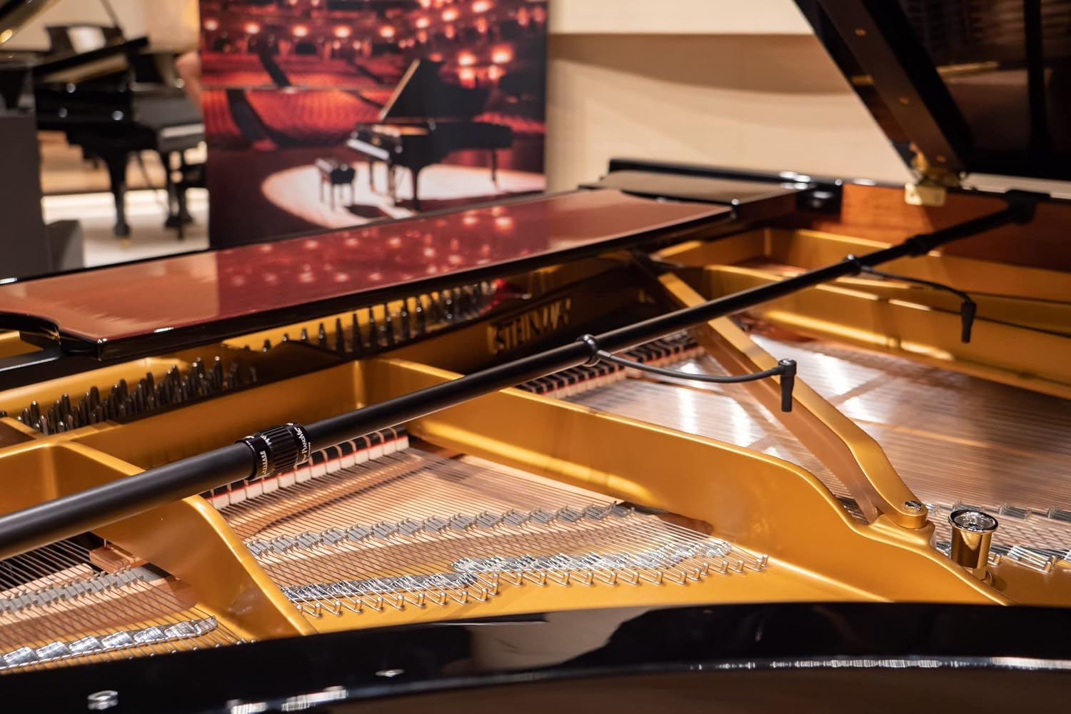 Earthworks Audio PM40 Omnidirectional Condenser Piano Microphone