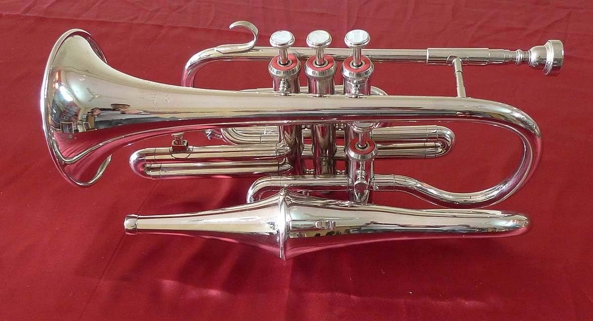SALE SALE SALE GIFT Brass 4 Valve Brass Echo Cornet Brass Finish W/Case Gold