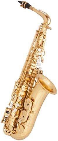 Dillon Student Alto Saxophone Lacquer