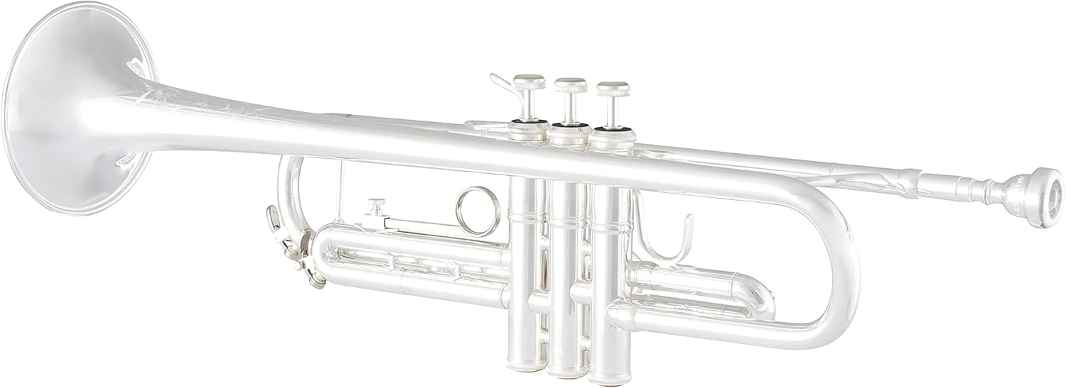 Bach Trombone, Silver (TR200S)