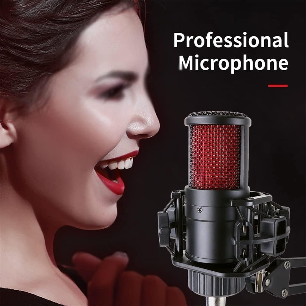 Professional Metal Condenser Microphone Sound Card Phantom Power Game Studio Microphone Computer Recording (C