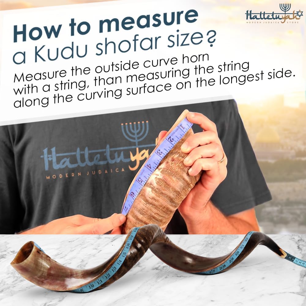 HalleluYAH Original Kosher 35”-39” Half-Polished Kudu Shofar From Israel