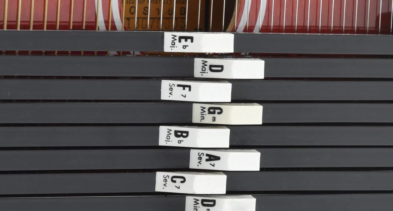 Autoharp by Oscar Schmidt OS15B 