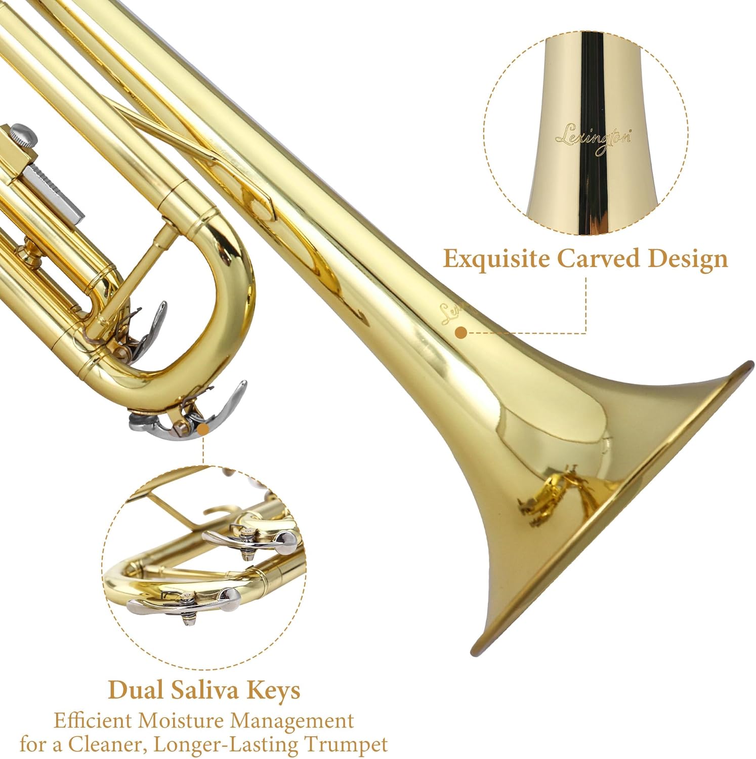 Aileen Lexington Standard Gold Bb Student Model Trumpet Includes Hard Case, Cleaning Rod and Cloth, Gloves