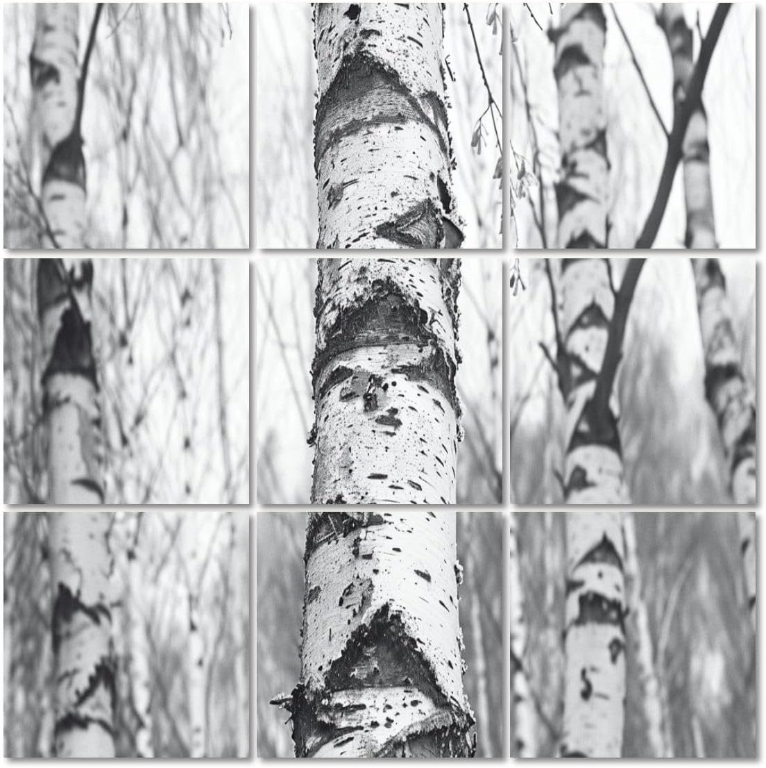 Art Acoustic Panels Self Adhesive black white photo white birches birch bark birch trees 9 Packs Decorative Soundproof Wall Panels Large Sound Absorbing Panels for Home Office 60