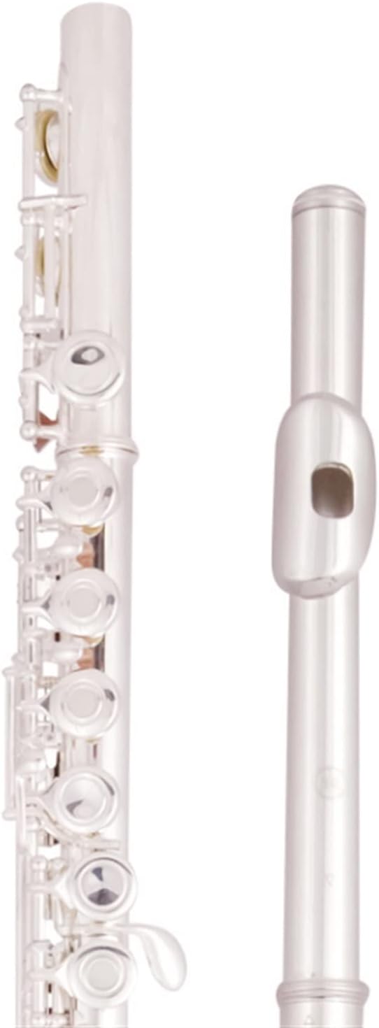 Flute Cupronickel Plated Silver 16 Holes C Key Woodwind Instrument with Gloves Padded Case Flutes (Color : 02)