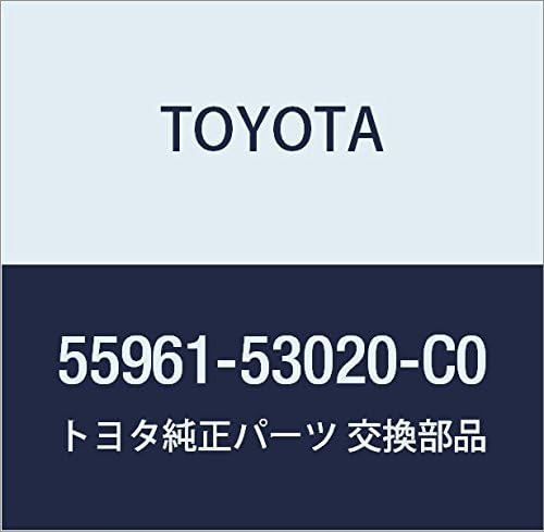 TOYOTA (toyota) Genuine Parts saidodehurosuta Nozzle No. (A Little Bit Of... 1 (Black) Shell)