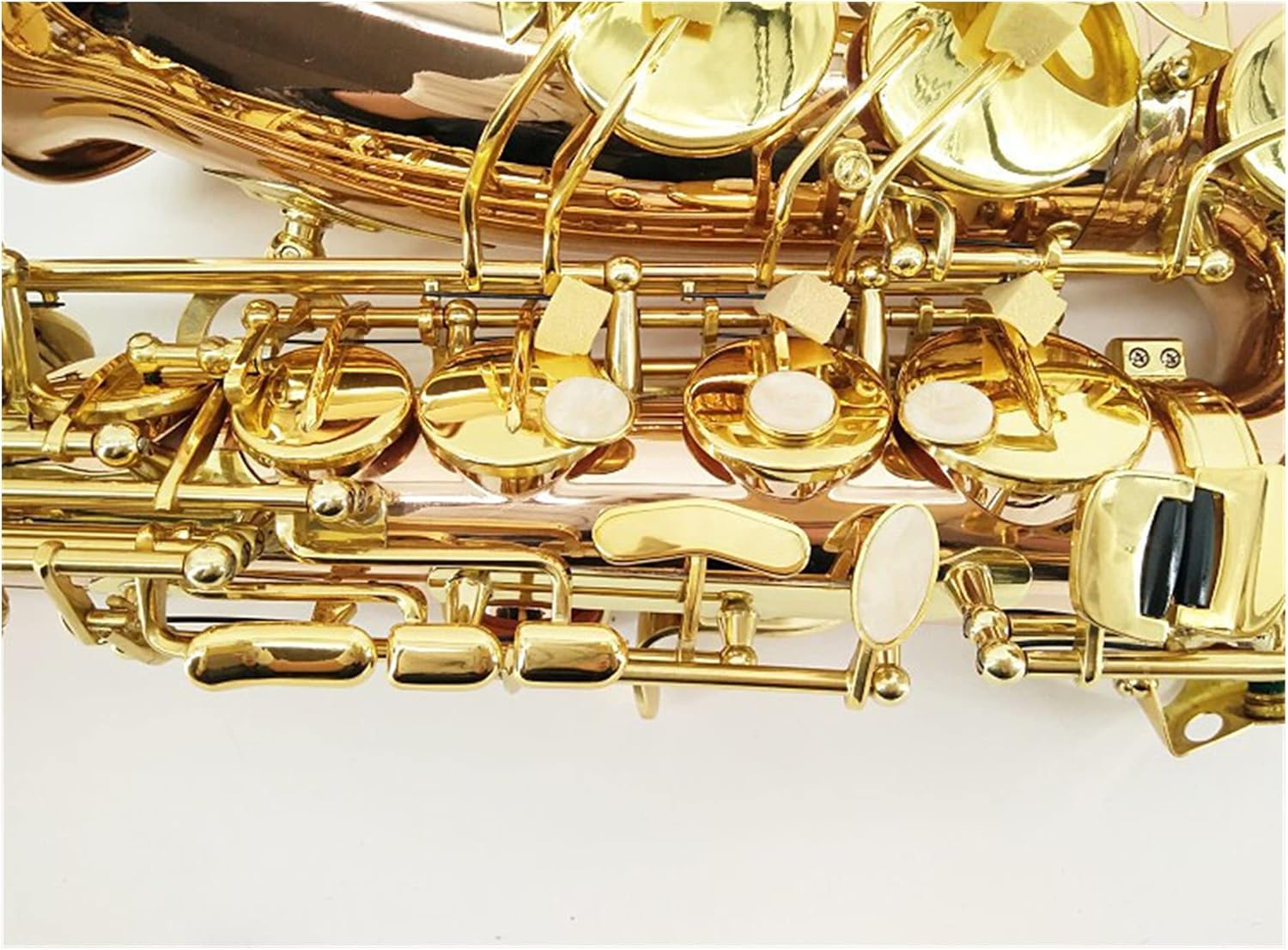 Professional Saxophone E-Flat Alto Saxophone Phosphor Bronze Saxophone/Wind Instrument Double-bar Saxophone Beginner Brass Sax Beginners Kit