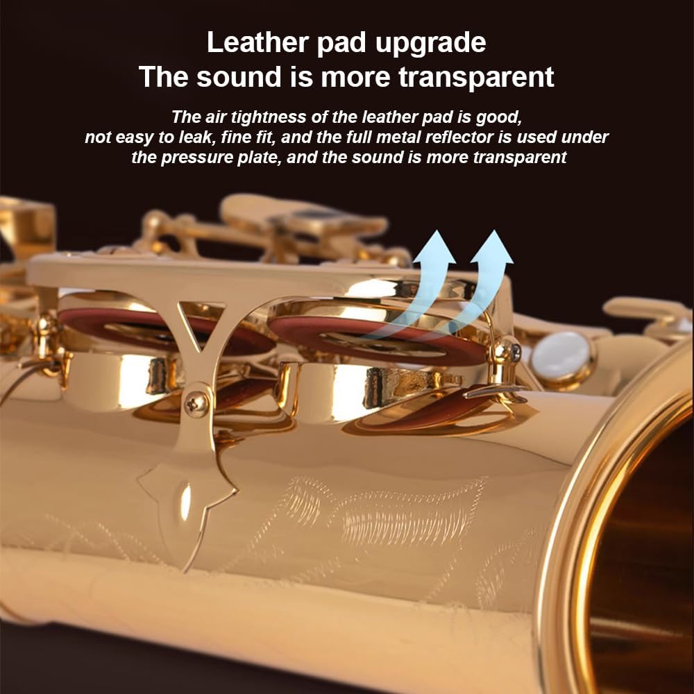 Saxophone, Beginners E-Flat, Alto Saxophone, Beginner/Professional/Performance/Examination, Including Instrument Storage Bag