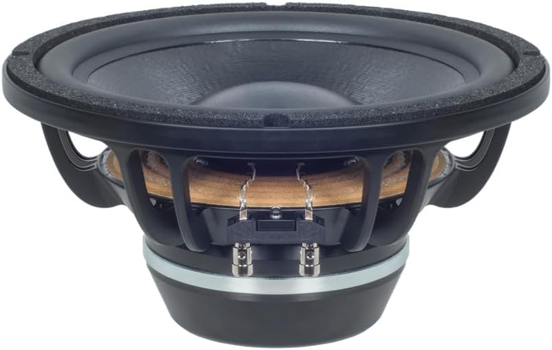 B&C Speakers 10BG76-4 LF Drivers 10-Inch NEO Rolled Edge Woofer 4- Ohms Pro Audio Component Speaker Driver for Motorcycle Car