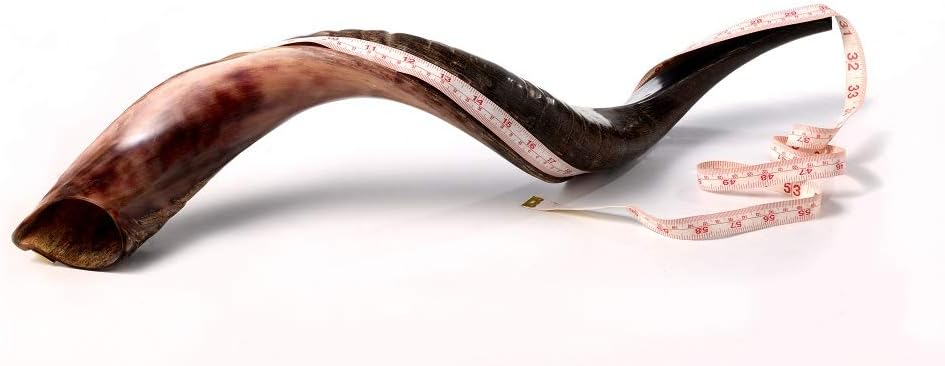 Yaliland Kosher Kudu Shofar Horn Set - Authentic & Revered Ceremonial Instrument (36-38