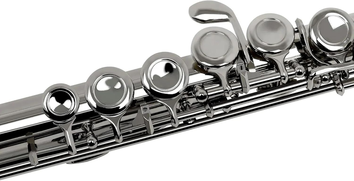 VBDEFRT Woodwind Instruments Flute 16 Closed Open Holes C Key Professional Transverse Flute Musical Instrument With Box