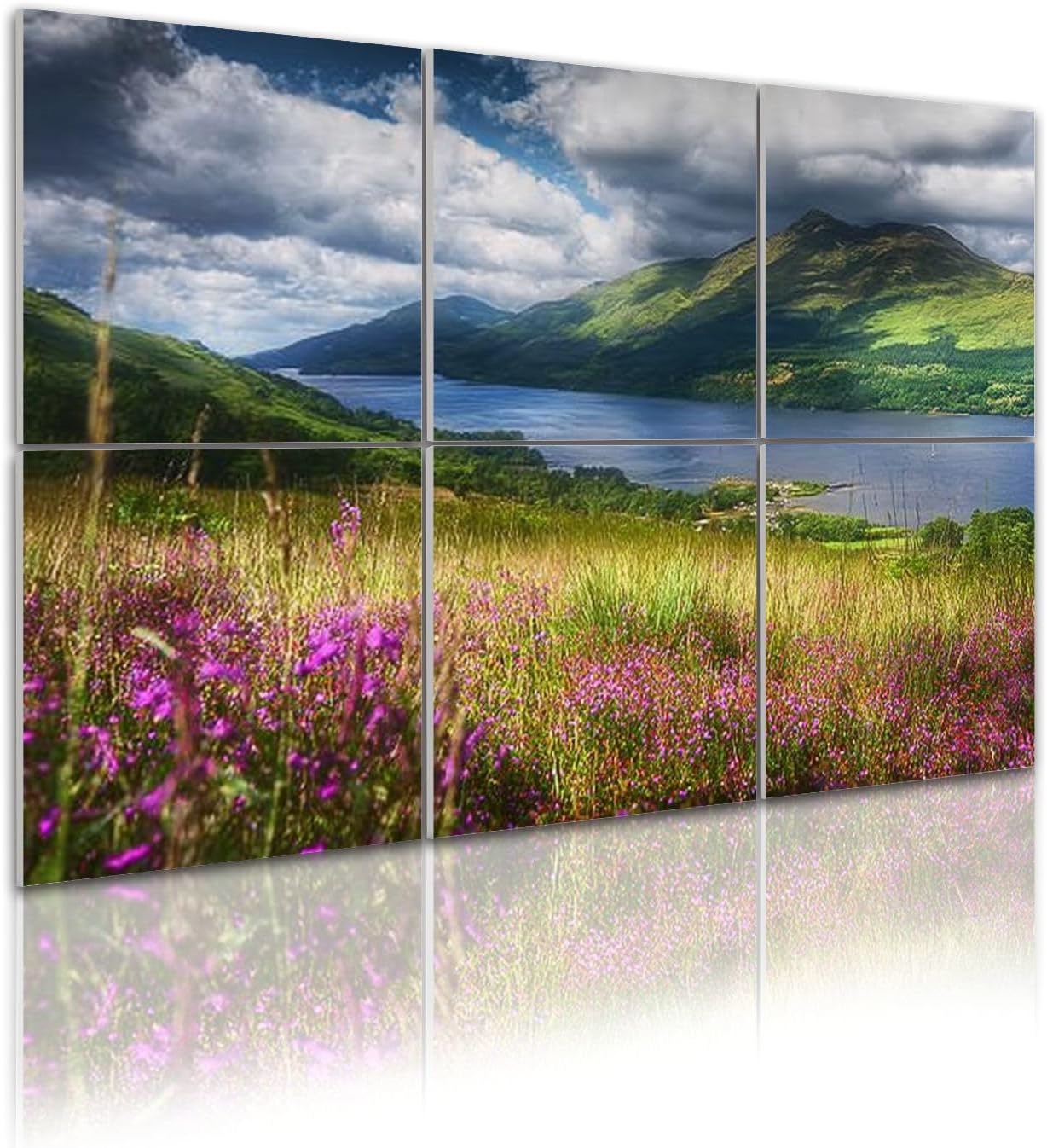 6 Pack Art Acoustic Panels Self Adhesive Where sun shines bright Ben Lomond This shot Loch Decorative Soundproof Wall Panels Sound Absorbing Panel 48