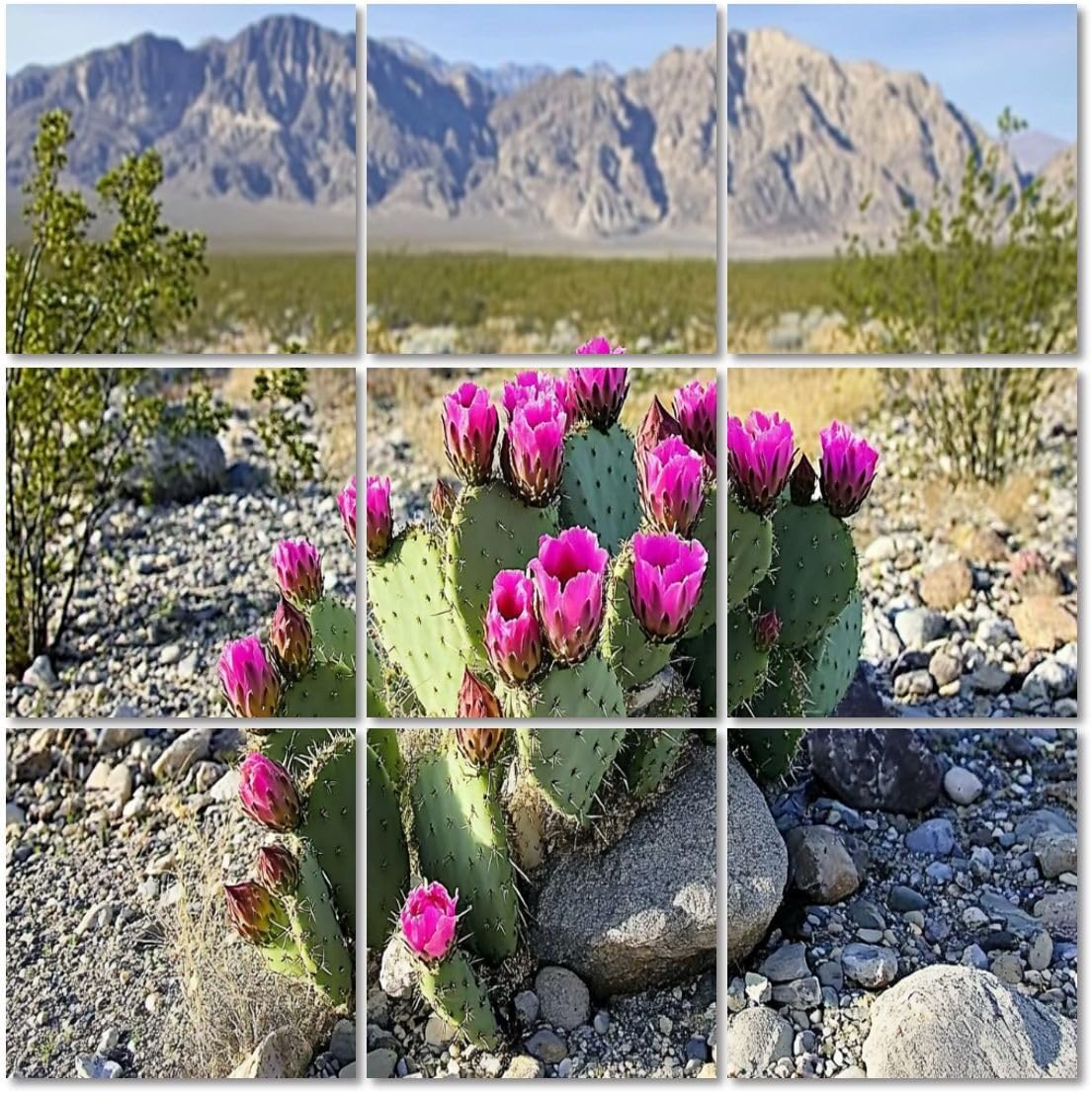 Art Acoustic Panels Self Adhesive Selective Focus Blooming Beavertail Cactus Desert 9 Packs Decorative Soundproof Wall Panels Large Sound Absorbing Panels for Home Office 60