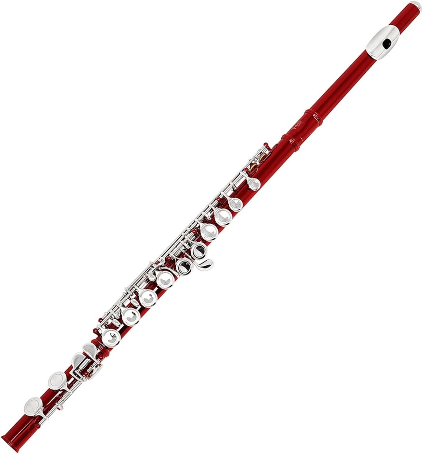Flutes Closed Hole C Tone Flute Silver Key Cupronickel 16 Holes Flute Woodwind Instrument with Leather Case