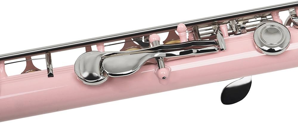 Flute Pink 16 Hole Flute with E Key Woodwind Closed Hole C Tune Nickel Silver Key White Brass Pipe with Box Flutes Musical Instruments