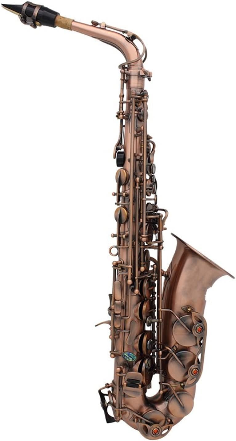 Sax Beginners Kit EB E- Flat Alto Saxophone Kit Sax Abalone Shell Key Carve Pattern Saxophone Set with Case Gloves Straps Brush Wind Instrument