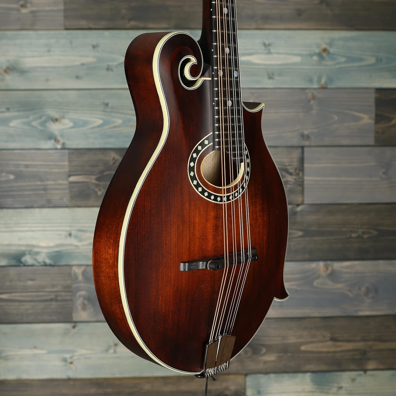 eastman Eastman MD314 FStyle Mandolin with Oval hole. Padded Bag Included