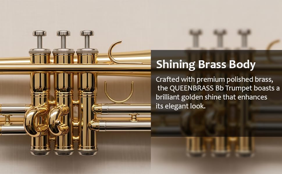 Queen Brass Trumpet Premium Kit for Beginners & Students, Brass Musical Instrument with Sturdy Case Bag, 7C Mouthpiece, Complete Cleaning Set