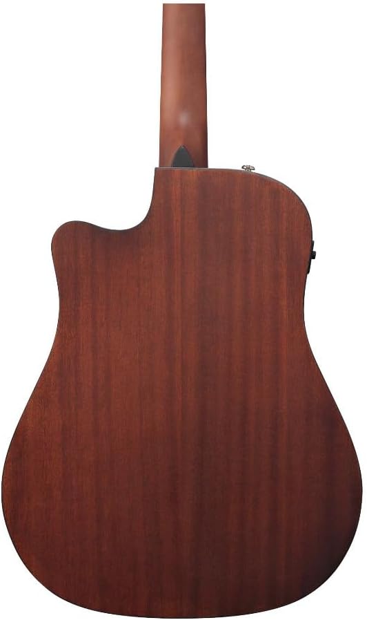 Ibanez ALT20 Altstar Acoustic-Electric Guitar (Open Pore Natural)