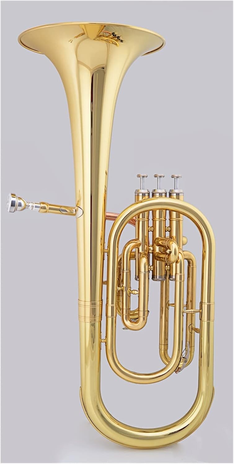 Brass Finishing Euphonium The E-Flat Lacquer Golden Midtone is Suitable for Students and Beginners to Play Professionally