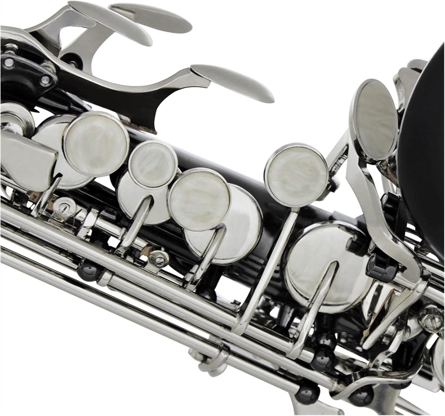 TSTS Bb Saxophone Brass Black Nickel Professional Woodwind Instrument B Flat with Case Brass Sax Full Kit