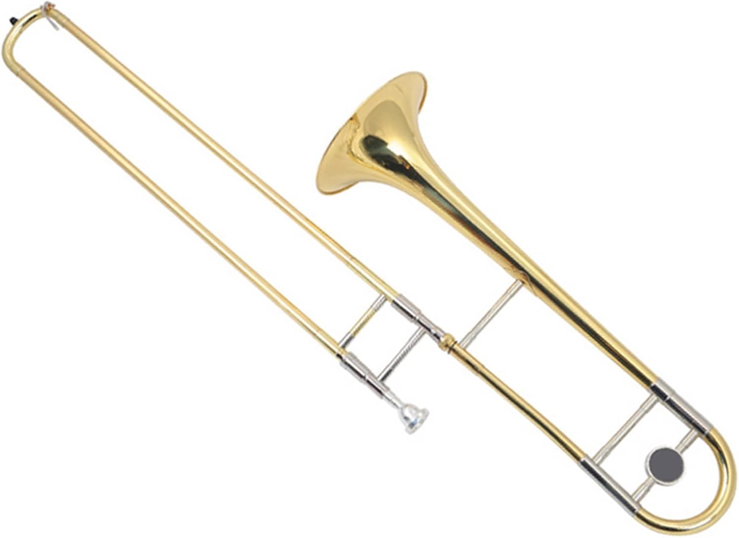 TSTS B-Flat Tenor Trombone Instrument for Beginners Beginner Trombone