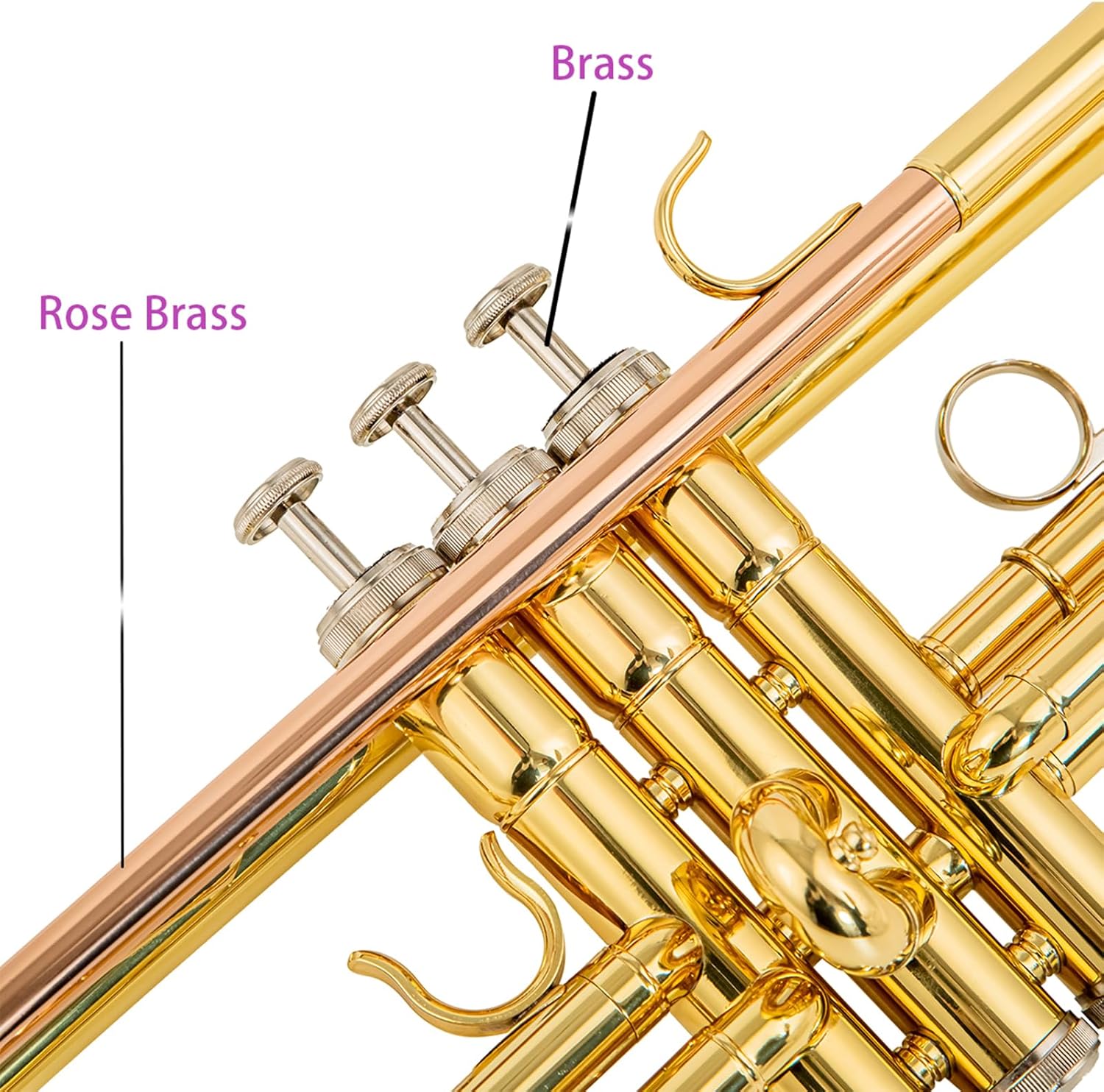 bb trumpet 6331 brass b flat trumpet for beginners and intermediate players copper leadpipe gold lacquer finish stainless steel valves phosphorus hard case and accessories included