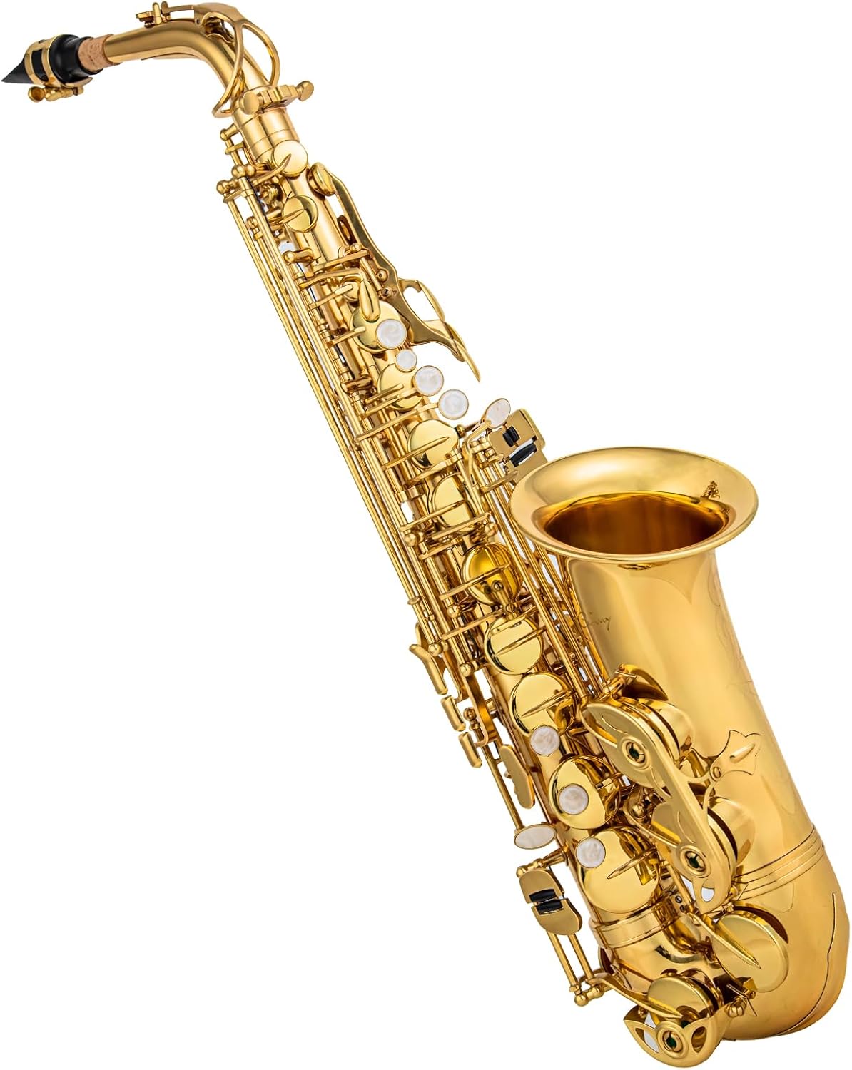 Alto Saxophone Eb beginner Saxophone includes brush canvas suitcase glove whistle piece cork plaster wipe cloth neck strap and other accessories (Gold)