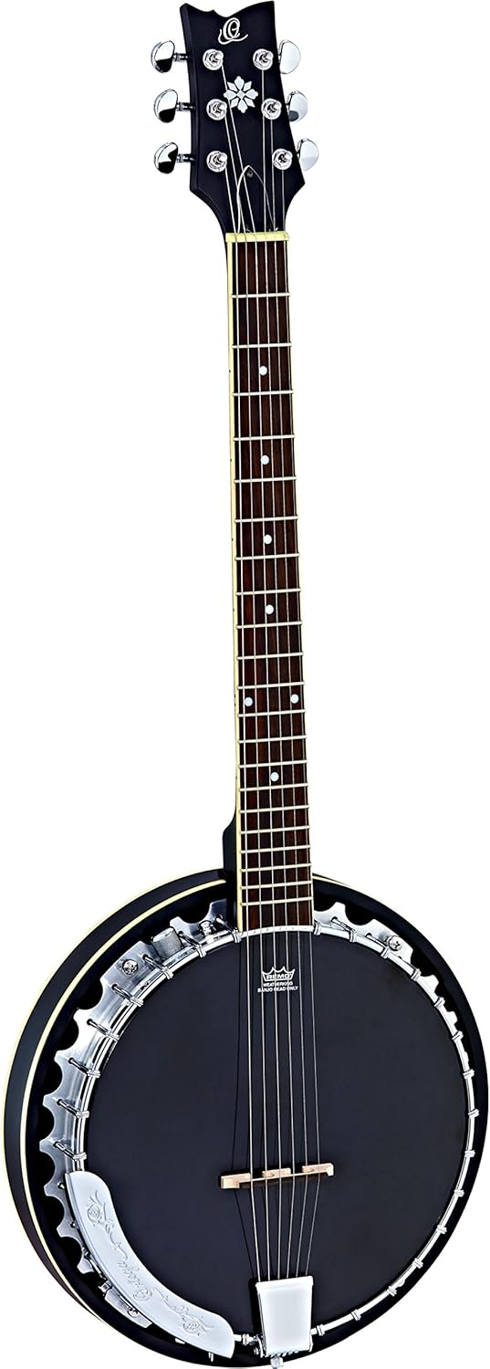 Raven Series 6-String Acoustic-Electric Banjo w/Bag