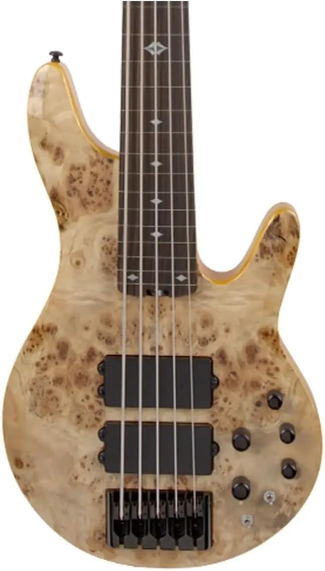 Michael Kelly Pinnacle 5 String Fretless Bass Guitar