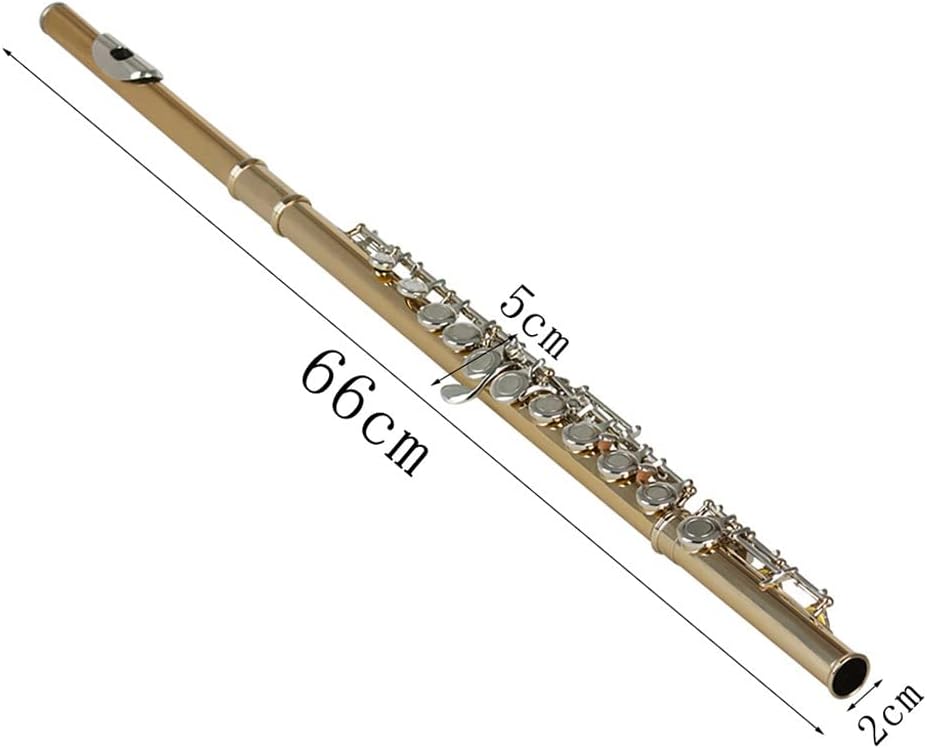Gold-plated Silver Keys 16 Holes Flute Woodwind Instrument Closed Hole E Key Concert Flute with Box Music Accessories