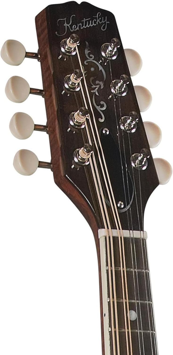 Kentucky KM-256 Artist A-model Mandolin - Transparent Brown