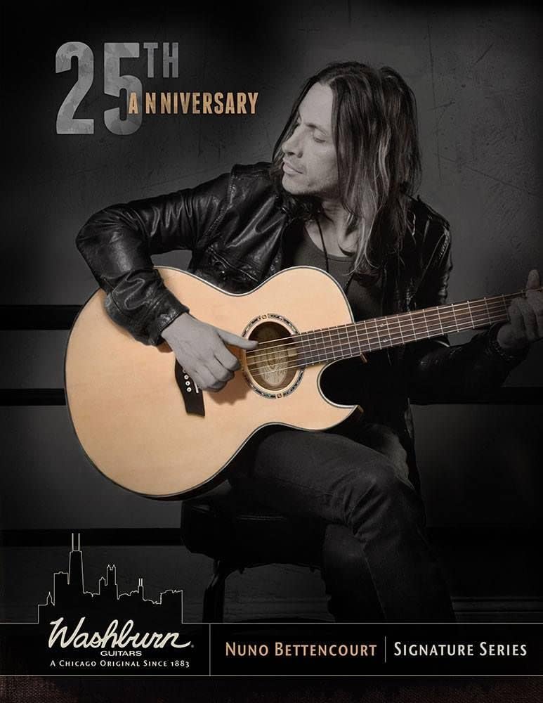 Washburn Festival Series 6 String Acoustic-Electric Guitar, Right, Natural (EA20SNB-O)