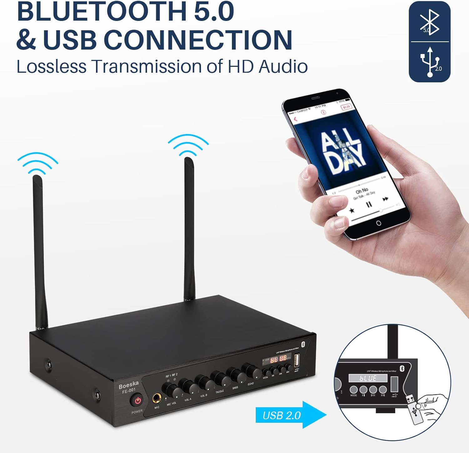 Wireless Microphone System, UHF Dual Cordless Handheld Microphones Set for Home Karaoke, Singing, Speech, Party, Meeting, Church, 262ft Range, Black