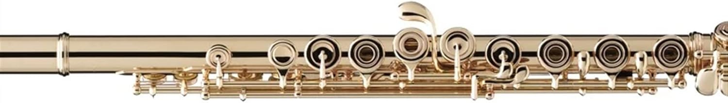 Flute Kit Western Concert Flute Silver Plating 17 Holes C Flutes Key Woodwind Instrument Mini Screwdriver Padded Intermediate Flute (Color : Gold)