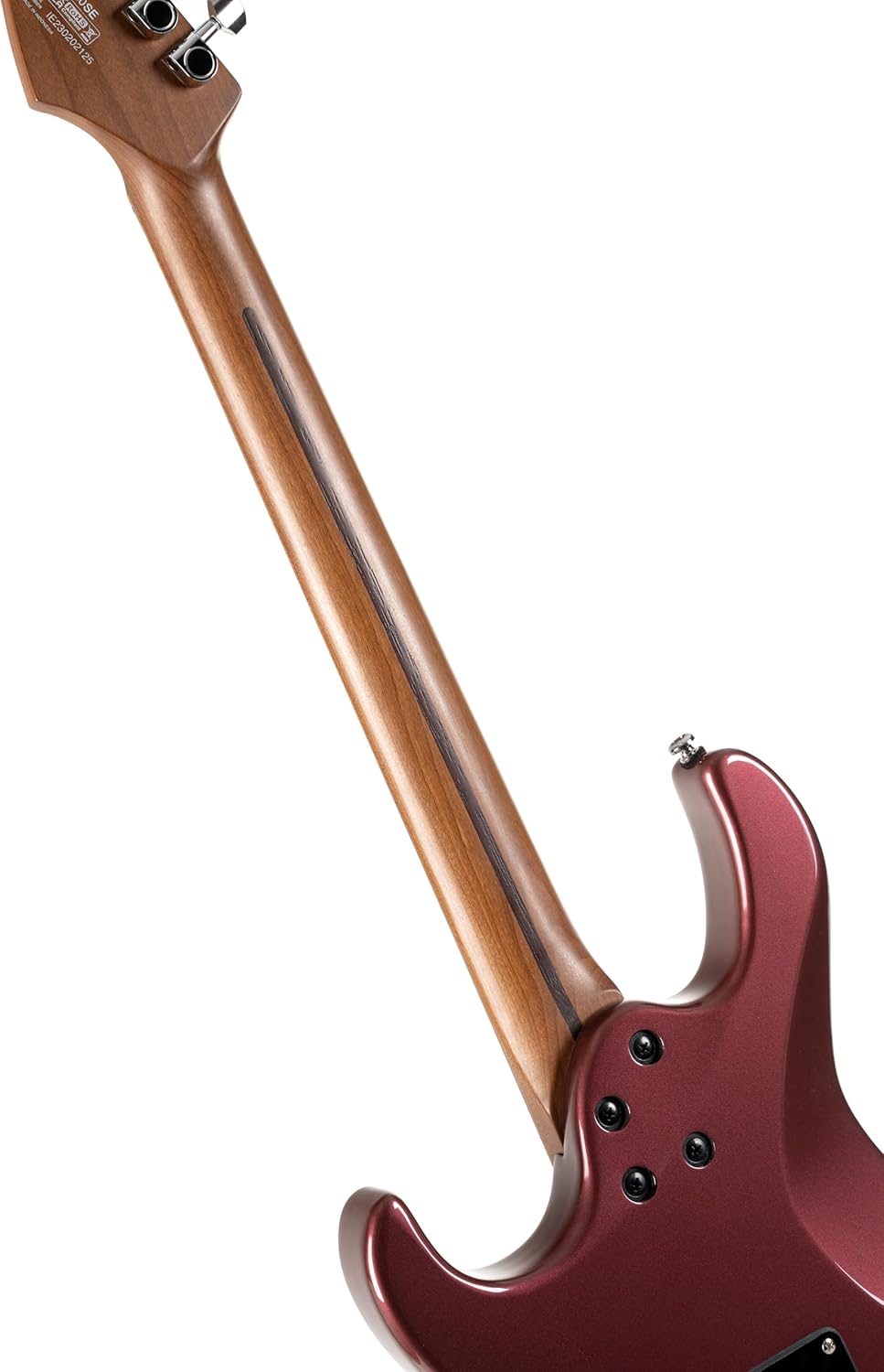 Cort G250 SE 6-String Solid-Body Electric Guitar Vivid Burgundy