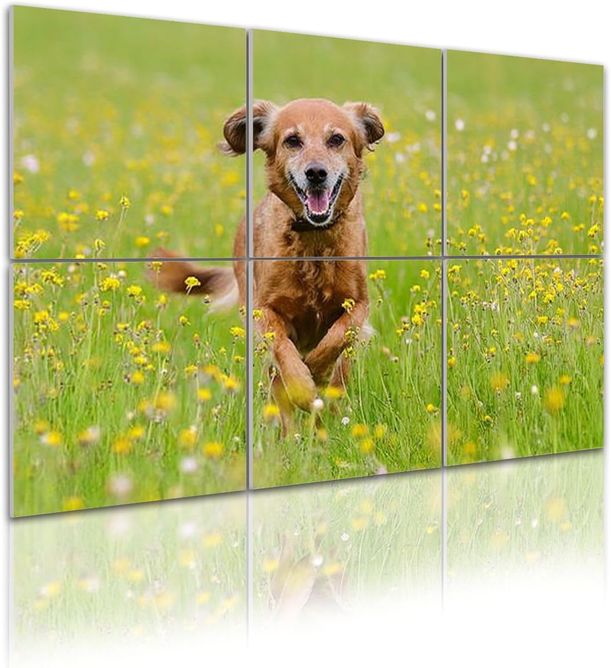 6 Pack Art Acoustic Panels Pure Joy Sound Absorbing Panel 48