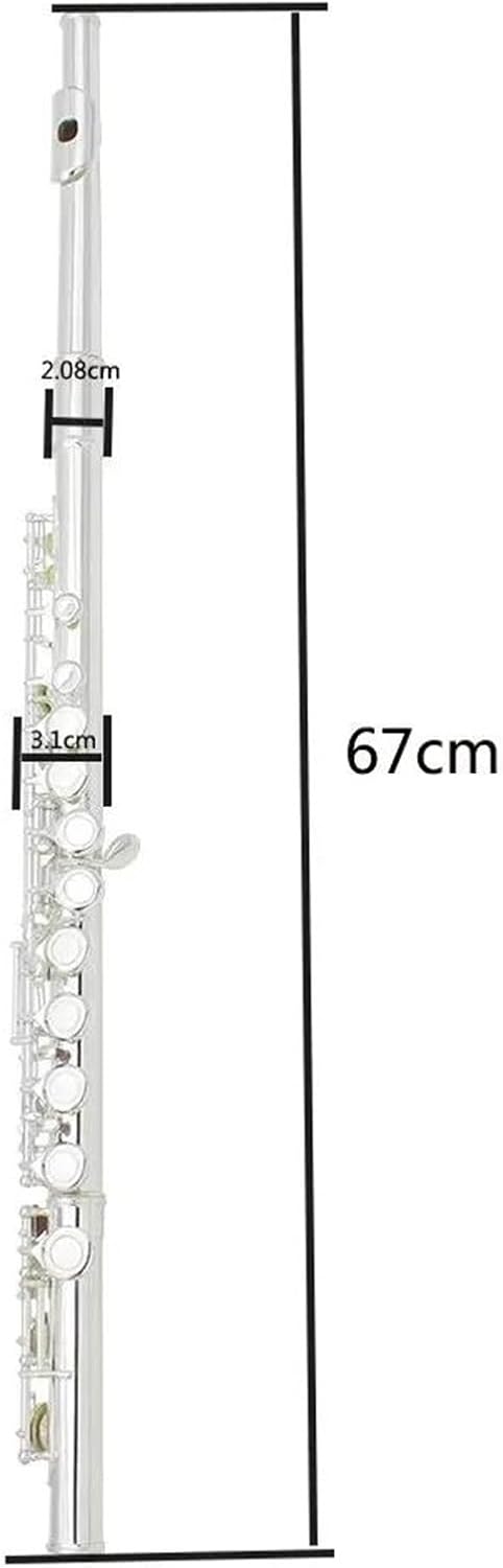 VBDEFRT Woodwind Instruments Flute 16 Closed Open Holes C Key Professional Transverse Flute Musical Instrument With Box