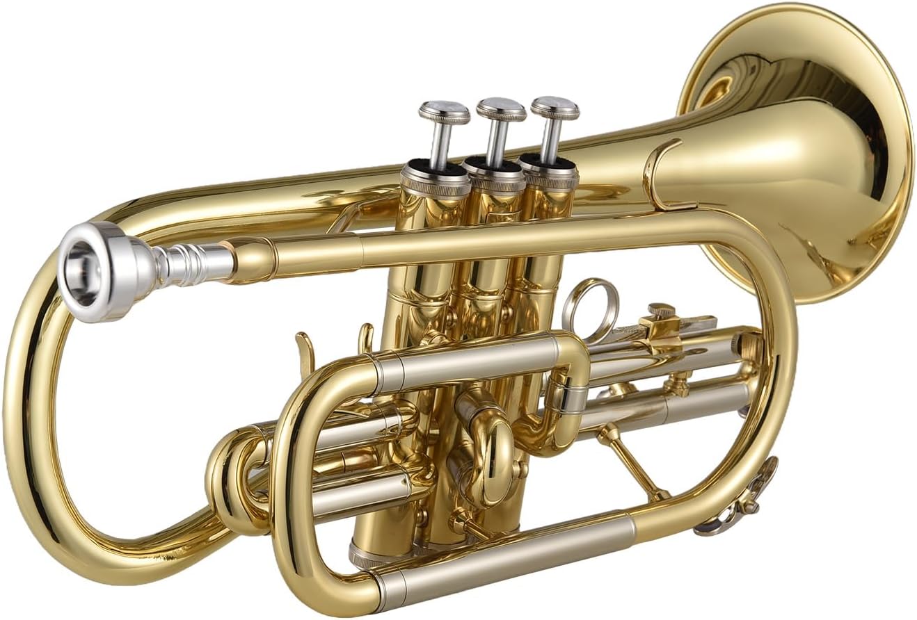 Bb Cornet Brass Instrument Surface Paint Gold Treatment Professional Brass Cornet with Carrying Case Gloves Cleaning Cloth Brushes for Students and Beginners
