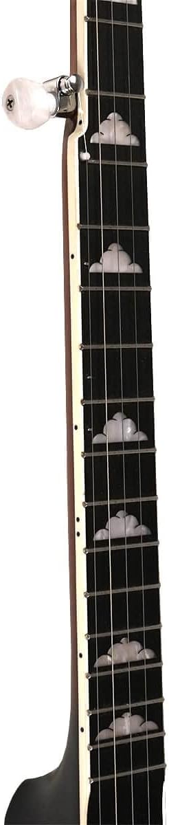 Gold Tone WL-250 White Ladye Openback Banjo (Five String, Vintage Brown)