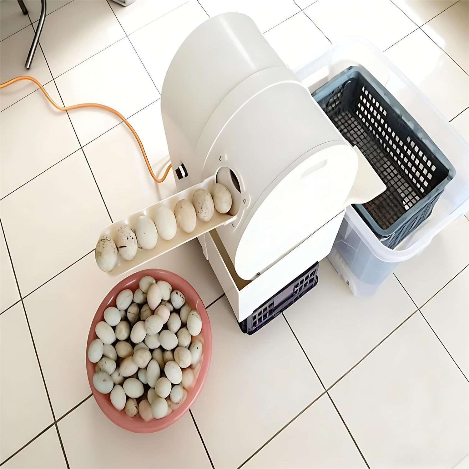 Automatic Egg Washer Machine, Electric Egg Washer Machine with Roller Brush, Egg Cleaning, 2300 Pcs/H Chicken Duck Goose Egg Egg Cleaner Wash Machine