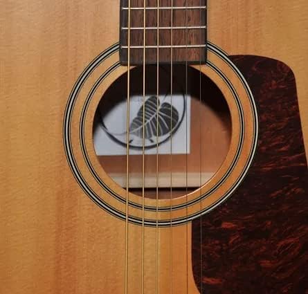 Bodhi BG10S Solid Spruce Top Concert Body Acoustic Guitar