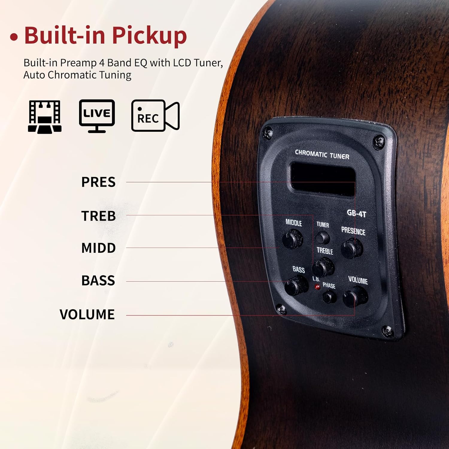 WISHMADE Electric Bass Guitars With F-Holes, Acoustic Bass Guitar For Beginners, Flamed Maple Top With Gig Bag (BLB-400-BK)