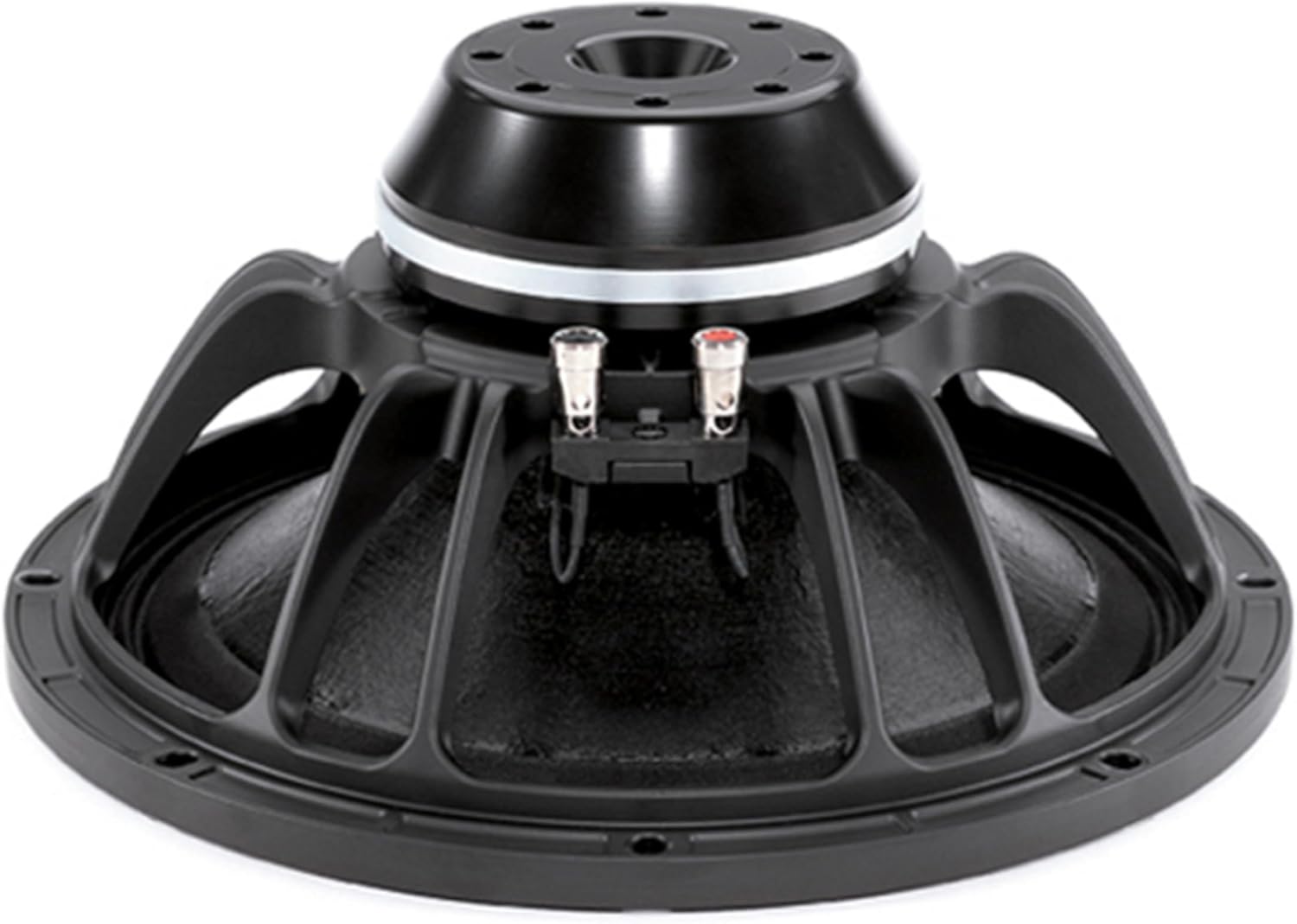 B&C Speakers 12NW76-8 LF Drivers 12-Inch Woofer 8 Ohms Impedance 500 Watts Rms 1000 Watts Max Continuous Power Handling Capacity Neodymium Ring Pro Audio Component Speaker Driver for Motorcycle Car