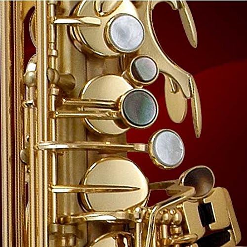 P. Mauriat LEBRAVO200A Alto Sax, Clear Lacquer with Case